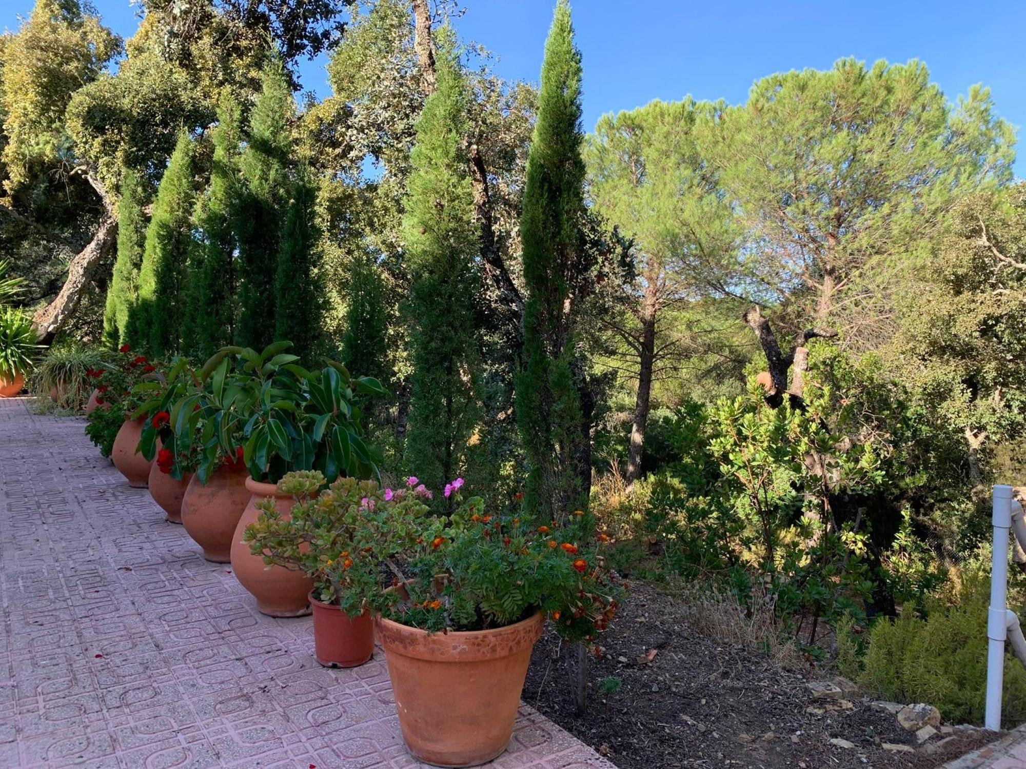 Casa San Francisco De Asis Villa Cordoba Dış mekan fotoğraf